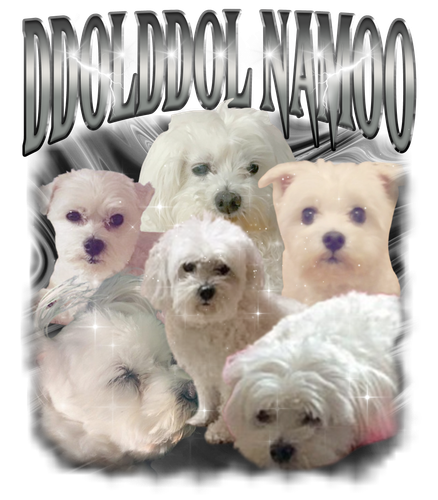 DDOLDDOL NAMOO 2.png
