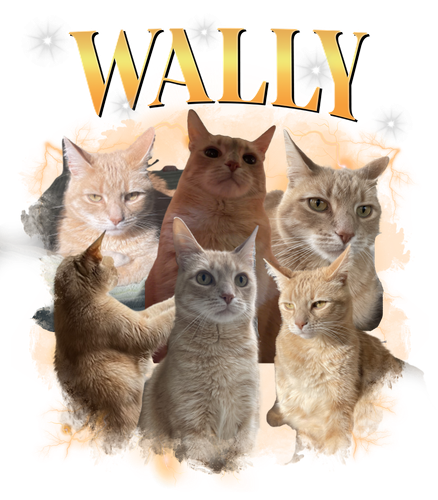 wally.png