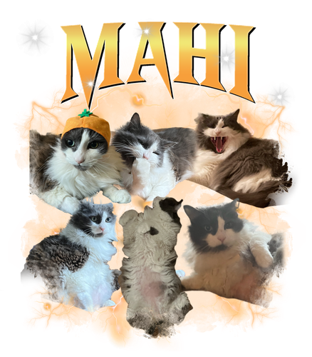 mahi.png