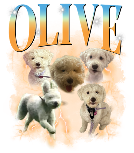 3122378486.png