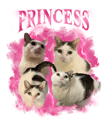 princess.png