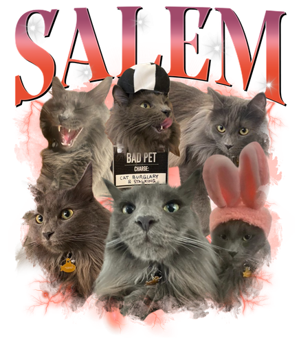 SALEM 2.png