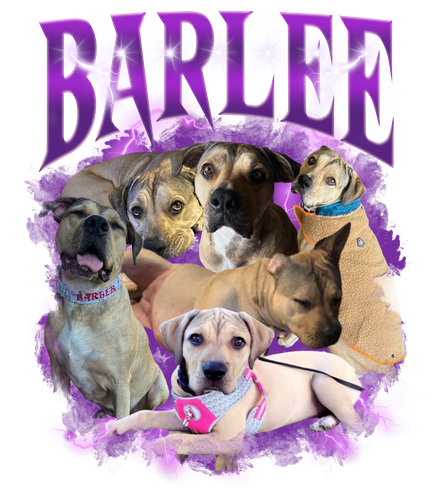 Barlee.png