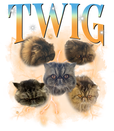 3122378486 (cat).png