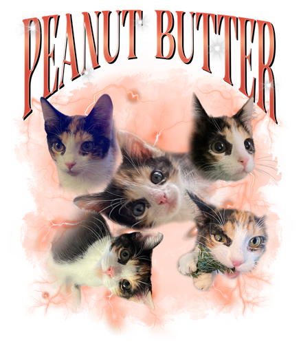 3128588160.png