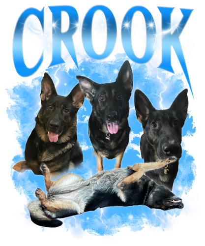 Crook 3120871910.png