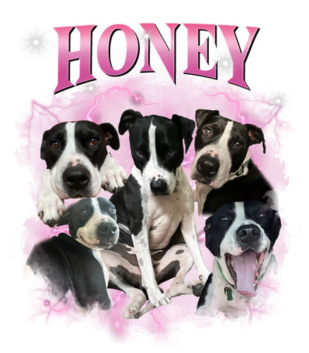 honey.png