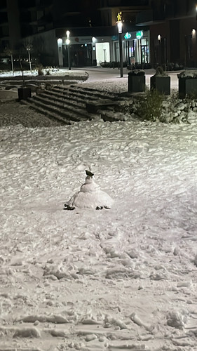 IMG 3418.jpg