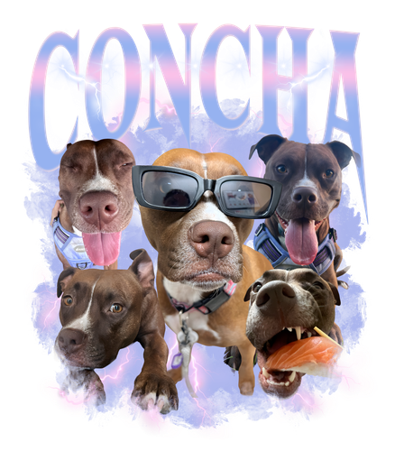 concha.png