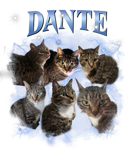dante.png