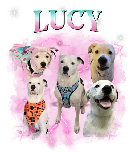 Lucy.png