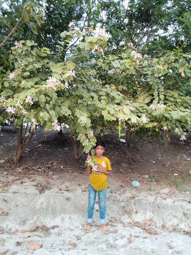 received 856992289759391.jpg