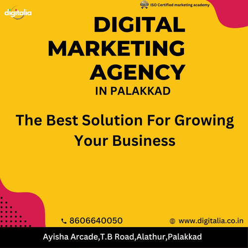 DIGITAL MARKETING AGENCY IN PALAKKAD (8).jpg