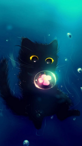 cat cute ball 127642 720x1280.jpg