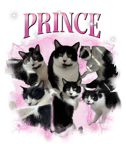 prince.png