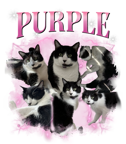 purple.png