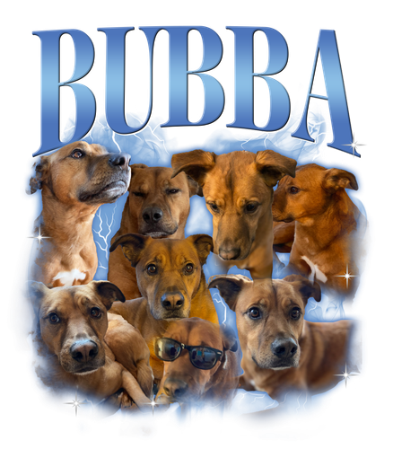 Bubba.png
