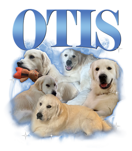 Otis.png