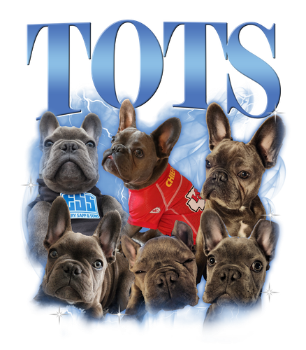 TOTS.png