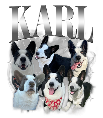 KARL.png