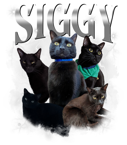 3100729541 Siggy 8.png