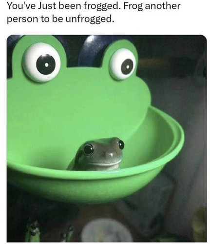 packaged goods just been frogged frog another person be unfrogged.jpg