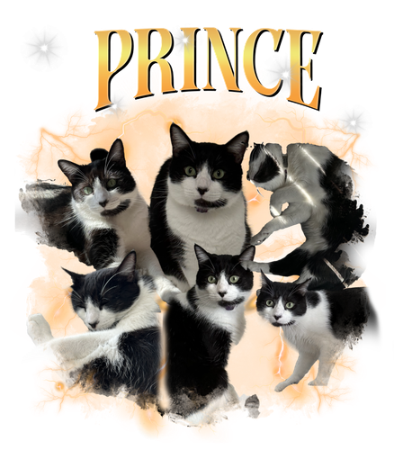 prince.png