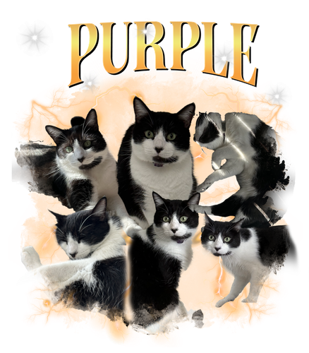 purple.png
