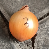 d1e9f48b7780.png