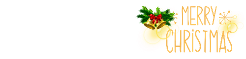 20231208 110346 0006.png