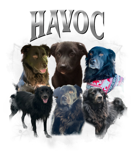 HAVOC.png