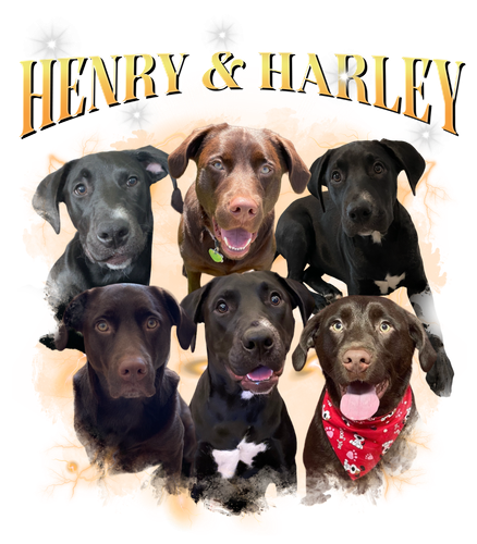 Henry & Harley + 3 + 1.png