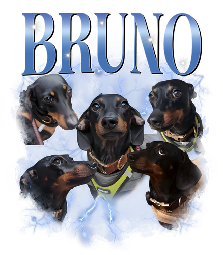 bruno.png