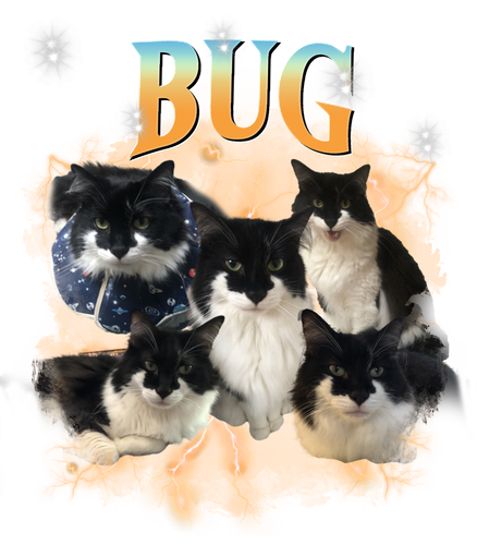 bug.png