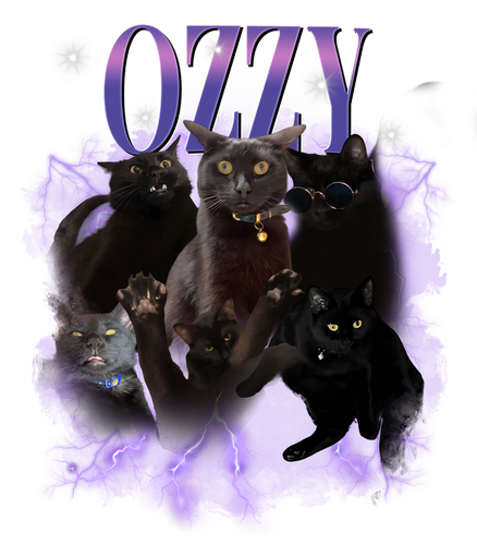 ozzy.png