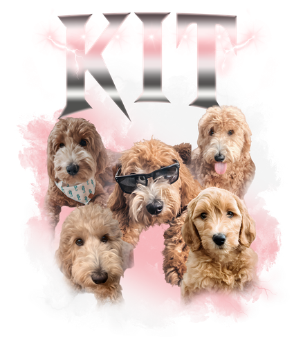 kit.png