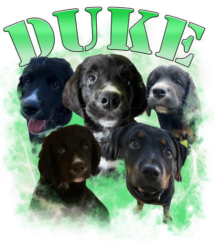 Custom dog Duke.png