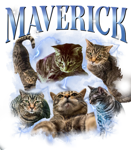 MAVERICK 9 + 1.png