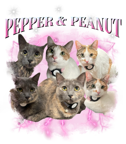 Peanut & Pepper + 10 (pink & white) + 1.png