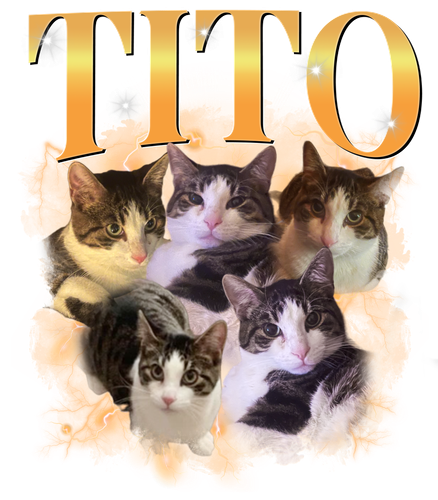 Tito Custom Text 3.png