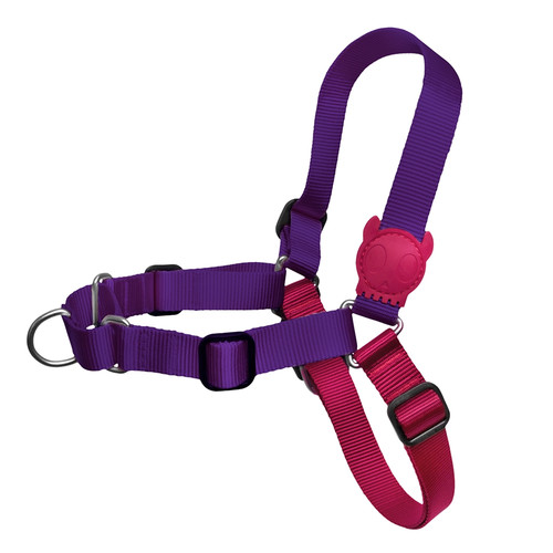 Zee.Dog Vega Soft Walk Harness Large.jpg