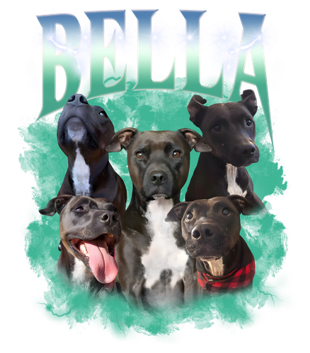 bella.png