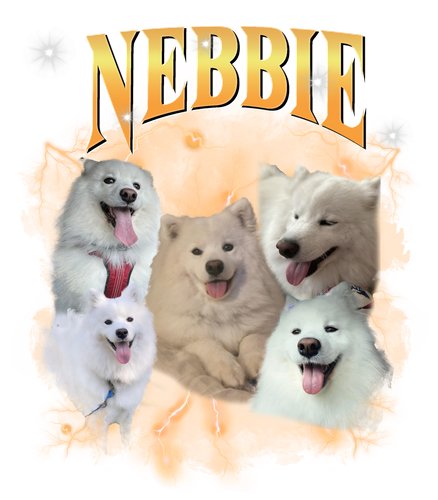 nebbie.png