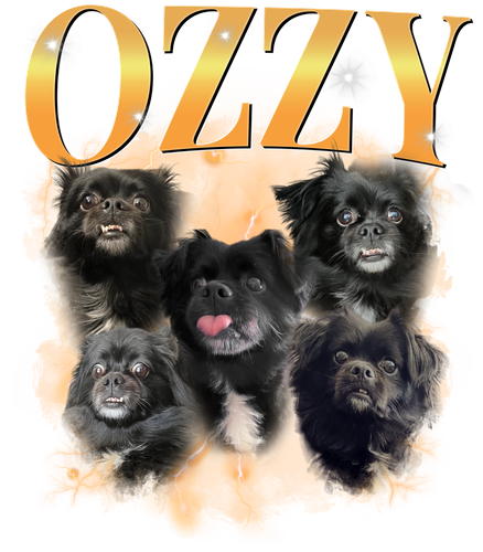 Ozzy Custom Text 3.png