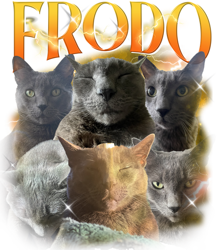 frodo.png