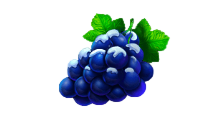 image (9).png