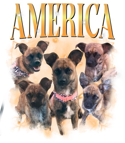 america.png