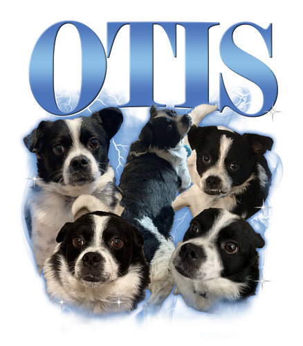 Otis blue.png