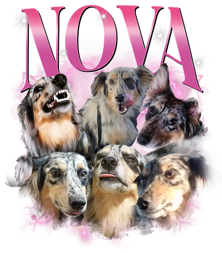 nova full .png