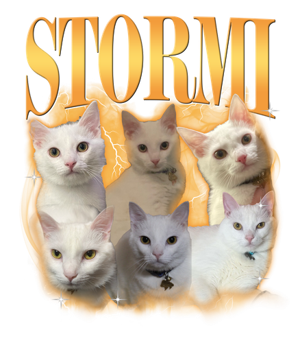 Stormi.png